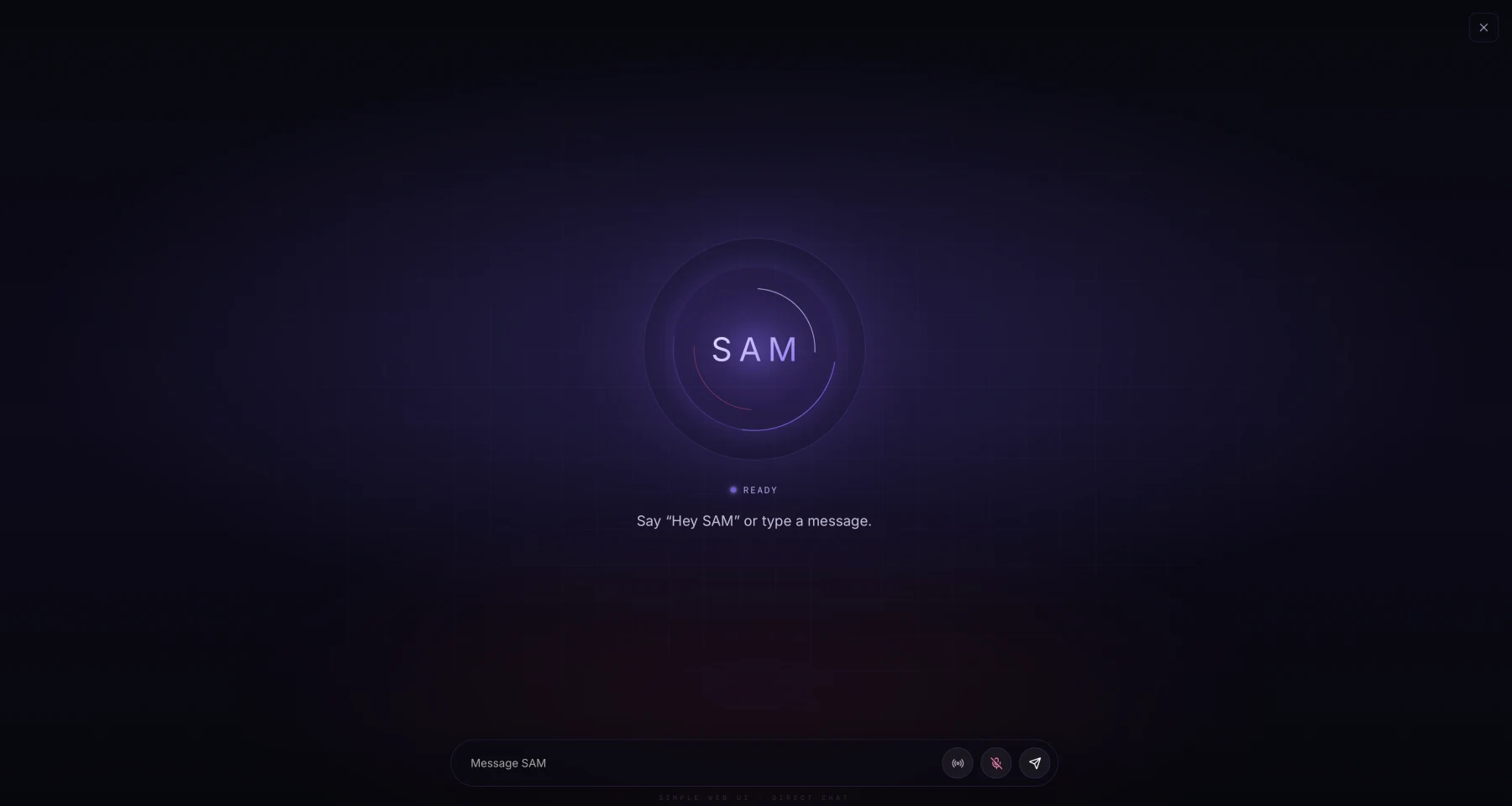 SAM local agent interface in its ready state